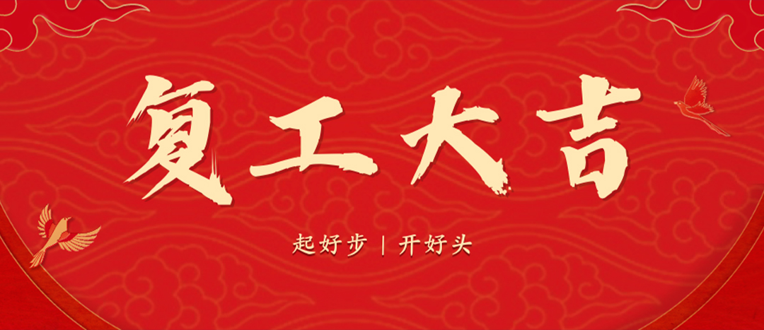 <strong>上好開工第一課，干出新年新氣象--海龍化工召開春節(jié)后復工復產(chǎn)專題部署會議</strong>